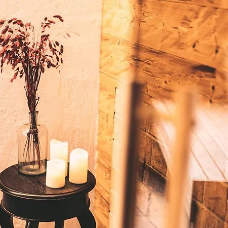فندق Aktivhotel Wildschuetz 4*