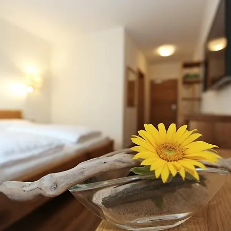 Aktivhotel Wildschuetz Ξενοδοχείο 4*