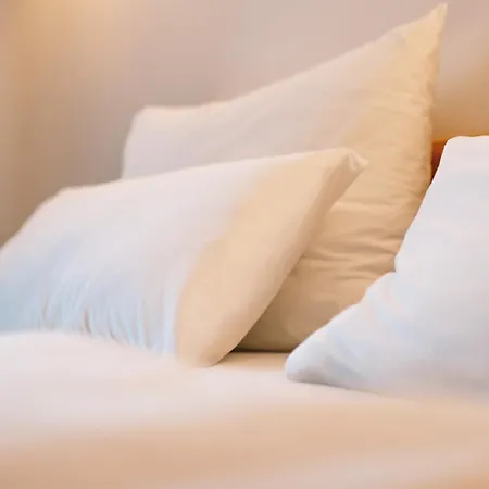 Aktivhotel Wildschuetz Ξενοδοχείο Altmünster