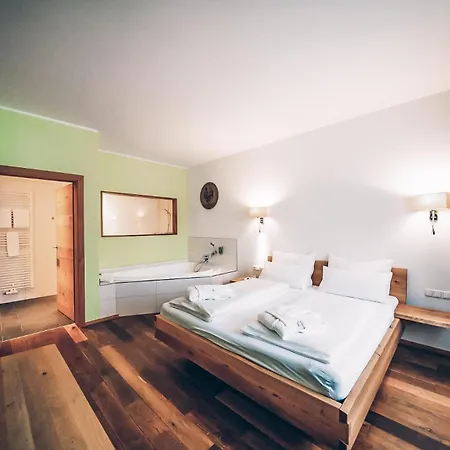 ホテル Aktivhotel Wildschuetz 4*