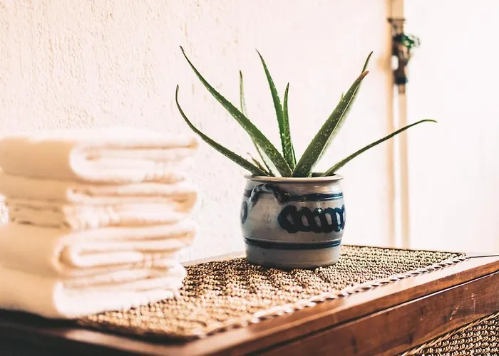 Aktivhotel Wildschuetz Otel 4*