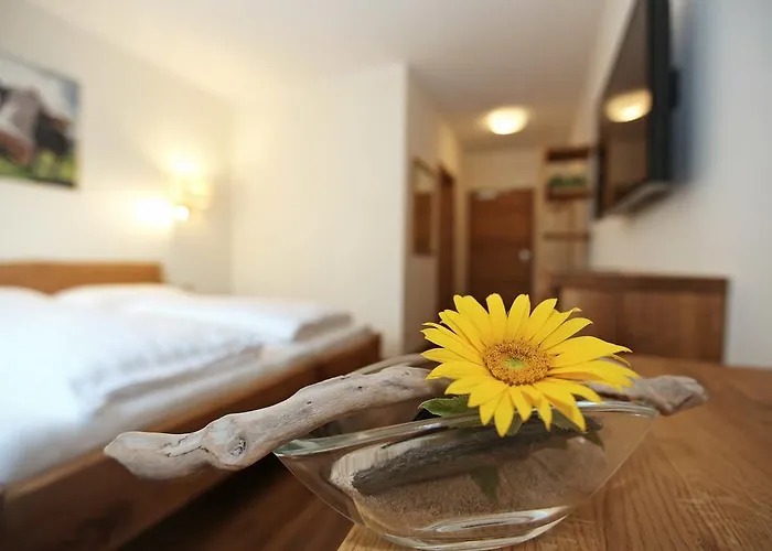 Aktivhotel Wildschuetz Hotel 4*