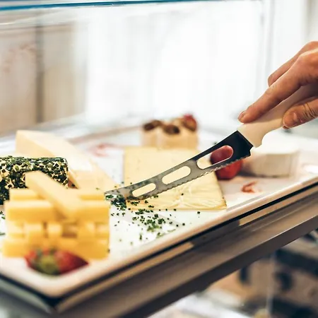 Aktivhotel Wildschuetz 4*